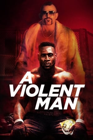 A Violent Man 2017 Hindi Dual Audio 720p WebRip [960MB]