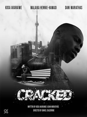 Cracked (2022) Hindi Dual Audio HDRip 720p – 480p