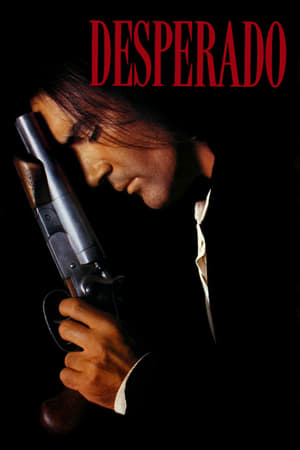 Desperado 1995 Hindi Dual Audio 720p BluRay [870MB]