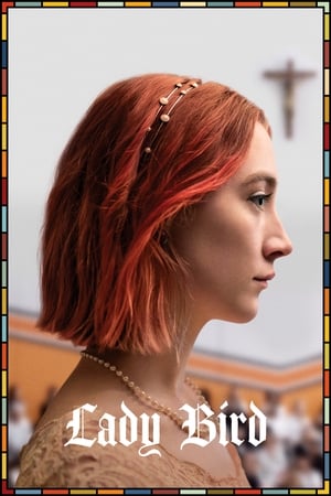 Lady Bird 2017 Hindi Dual Audio 720p BluRay [860MB]