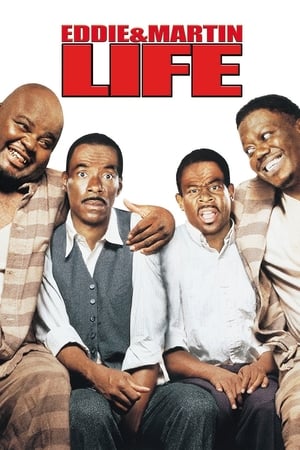 Life (1999) Hindi Dual Audio 480p BluRay 350MB